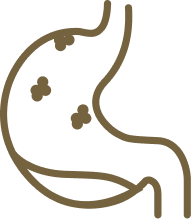 Gastric Health